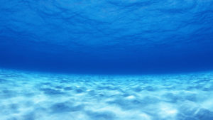 Vista subacquea di un fondale marino con sabbia chiara e acqua blu trasparente.